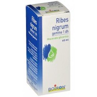 RIBES NIGRUM GEMME MACERATO GLICERICO 60 ML